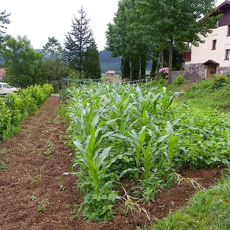 Çiftlik konaklama Casa Rural Ellauri Zeanuri