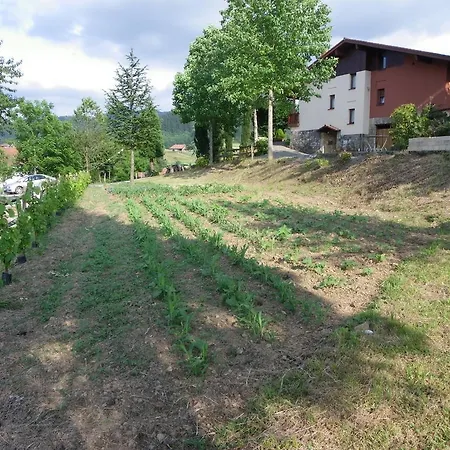 Çiftlik konaklama Casa Rural Ellauri *